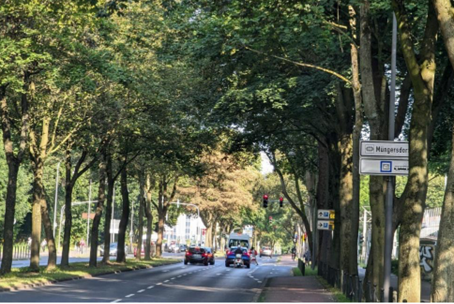 Aachener_Straße in Junkersdorf